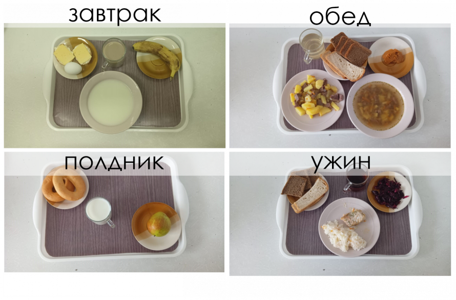 19 декабря 2024 год (8 день)