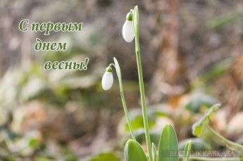 С Первым днем Весны!