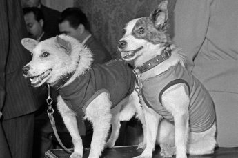 День космонавтики - 65 лет Они были первыми