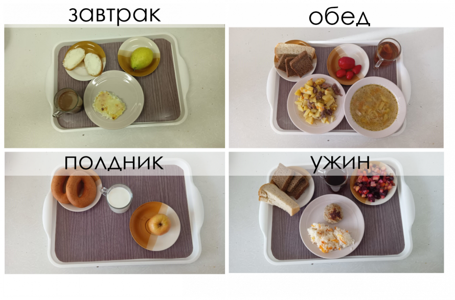 24 декабря 2024 год (13 день)